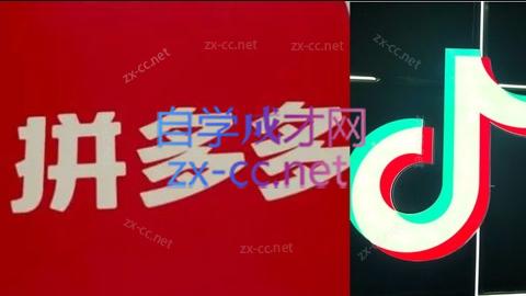 老陶电商·拼多多+抖音小店无货源开店(更新10月)-发财树